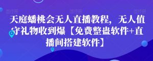 天庭蟠桃会无人直播教程，无人值守礼物收到爆【免费整蛊软件+直播间搭建软件】-吗喽副业资源站