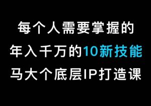 马大个的IP底层逻辑课,每个人需要掌握的年入千万的10新技能,约会底层IP打造方法!-吗喽副业资源站