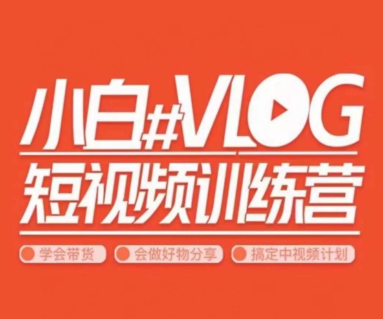 小呆说视–小白VLOG短视频训练营，学会带货、好物、直播、中视频-吗喽副业资源站