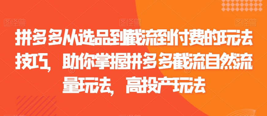 拼多多从选品到截流到付费的玩法技巧，助你掌握拼多多截流自然流量玩法，高投产玩法-吗喽副业资源站