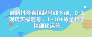 最新抖音直播起号线下课，0~1现场实操起号，1~10+放量稳号精细化运营-吗喽副业资源站