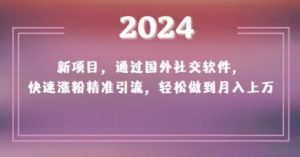 2024新项目，通过国外社交软件，快速涨粉精准引流，轻松做到月入上万【揭秘】-吗喽副业资源站