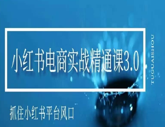 小红书电商实战精通课3.0，抓住小红书平台的风口，不错过有一个赚钱的机会-吗喽副业资源站