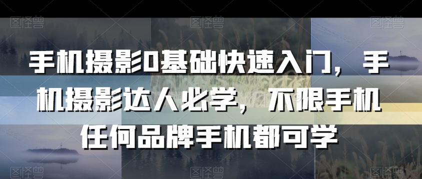 手机摄影0基础快速入门，手机摄影达人必学，不限手机任何品牌手机都可学-吗喽副业资源站