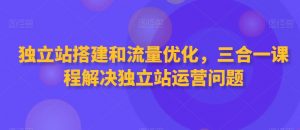 独立站搭建和流量优化，三合一课程解决独立站运营问题-吗喽副业资源站