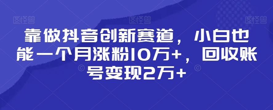 靠做抖音创新赛道，小白也能一个月涨粉10万+，回收账号变现2万+【揭秘】-吗喽副业资源站