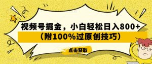 视频号掘金，小白轻松日入800+（附100%过原创技巧）【揭秘】-吗喽副业资源站