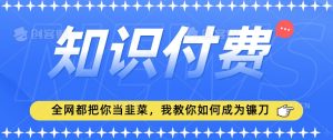 2024最新知识付费项目,小白也能轻松入局,全网都在教你做项目,我教你做镰刀【揭秘】-吗喽副业资源站