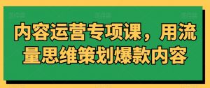 内容运营专项课，用流量思维策划爆款内容-吗喽副业资源站