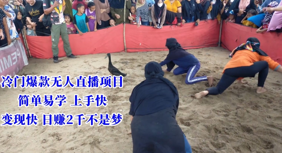 冷门爆款无人直播项目，简单易学上手快，变现快日赚2千不是梦【揭秘】-吗喽副业资源站