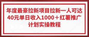 年度最豪拉新项目拉新一人可达40元单日收入1000＋红薯推广计划实操教程【揭秘】-吗喽副业资源站