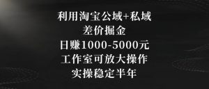 利用淘宝公域+私域差价掘金，日赚1000-5000元，工作室可放大操作，实操稳定半年【揭秘】-吗喽副业资源站