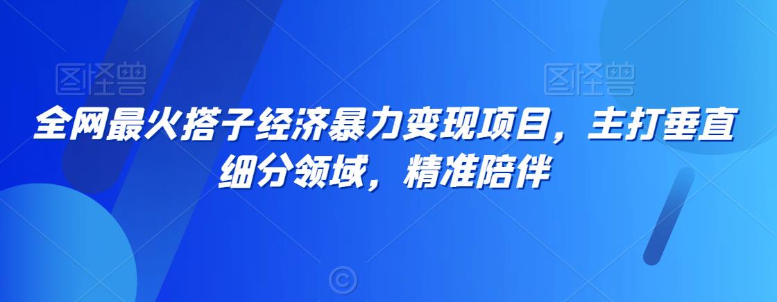 全网最火搭子经济暴力变现项目，主打垂直细分领域，精准陪伴【揭秘】-吗喽副业资源站