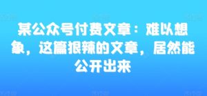 某公众号付费文章：难以想象，这篇狠辣的文章，居然能公开出来-吗喽副业资源站