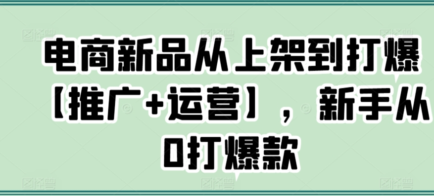电商新品从上架到打爆【推广+运营】，新手从0打爆款-吗喽副业资源站
