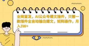 全网首发，AI公众号爆文插件，只需一款插件全自动输出爆文，矩阵操作，月入3W+【揭秘】-吗喽副业资源站