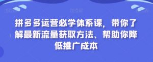 拼多多运营必学体系课，带你了解最新流量获取方法、帮助你降低推广成本-吗喽副业资源站