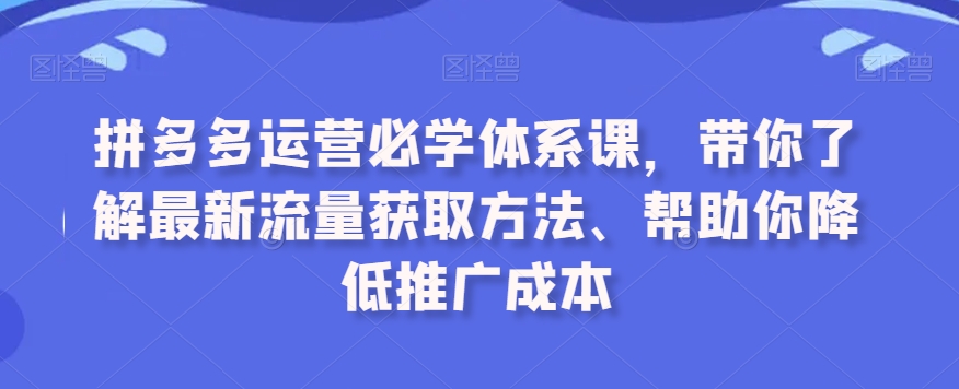 拼多多运营必学体系课，带你了解最新流量获取方法、帮助你降低推广成本-吗喽副业资源站