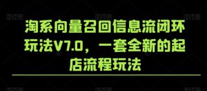 淘系向量召回信息流闭环玩法V7.0，一套全新的起店流程玩法-吗喽副业资源站
