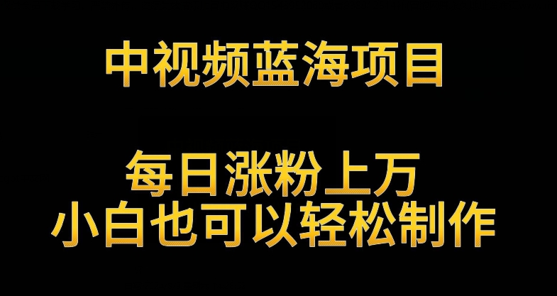 中视频蓝海项目，解读英雄人物生平，每日涨粉上万，小白也可以轻松制作，月入过万不是梦【揭秘】-吗喽副业资源站