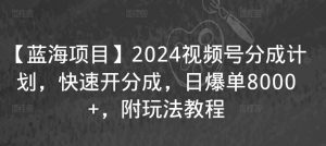 【蓝海项目】2024视频号分成计划，快速开分成，日爆单8000+，附玩法教程-吗喽副业资源站