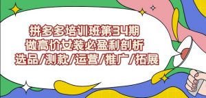拼多多培训班第34期：做高价女装必盈利剖析选品/测款/运营/推广/拓展-吗喽副业资源站