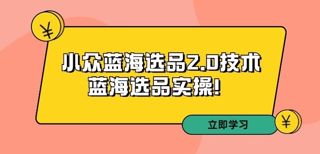 拼多多培训第33期：小众蓝海选品2.0技术-蓝海选品实操！-吗喽副业资源站
