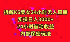 利用快手24小时无人美女直播，实操日入3000，24小时被动收益，内部保密玩法【揭秘】-吗喽副业资源站