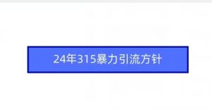 24年315暴力引流方针-吗喽副业资源站