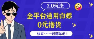 外面收费2980的全平台通用白嫖撸货项目2.0玩法【仅揭秘】-吗喽副业资源站