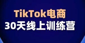 TikTok电商带货30天线上课，不可错过的全球流量洼地！-吗喽副业资源站