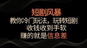 短剧风暴,教你冷门玩法,玩转短剧,收钱收到手软【揭秘】-吗喽副业资源站