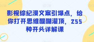 影视综纪漫文案引爆点，给你打开思维醍醐灌顶，255种开头详解课-吗喽副业资源站