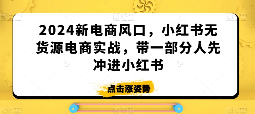 2024新电商风口，小红书无货源电商实战，带一部分人先冲进小红书-吗喽副业资源站