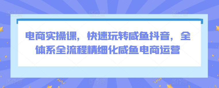 电商实操课，快速玩转咸鱼抖音，全体系全流程精细化咸鱼电商运营-吗喽副业资源站