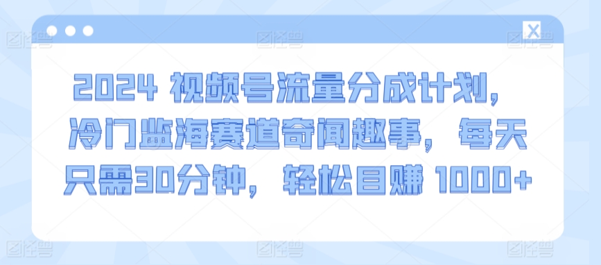 2024视频号流量分成计划，冷门监海赛道奇闻趣事，每天只需30分钟，轻松目赚 1000+【揭秘】-吗喽副业资源站