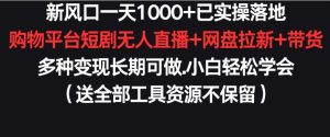新风口一天1000+已实操落地购物平台短剧无人直播+网盘拉新+带货多种变现长期可做【揭秘】-吗喽副业资源站