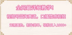 全网最详细教学，视频号蓝海赛道，口播情感视频，无需露脸，制作简单，轻松实现日入1000+【揭秘】-吗喽副业资源站