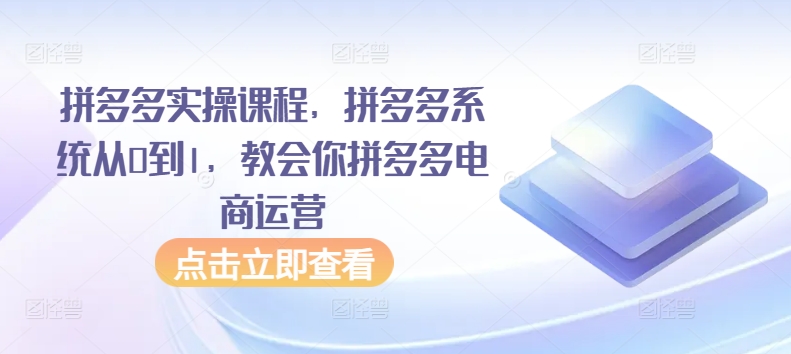 拼多多实操课程，拼多多系统从0到1，教会你拼多多电商运营-吗喽副业资源站
