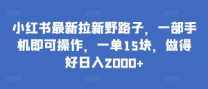 小红书最新拉新野路子，一部手机即可操作，一单15块，做得好日入2000+【揭秘】-吗喽副业资源站