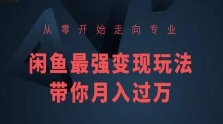 从零开始走向专业，闲鱼最强变现玩法带你月入过万-吗喽副业资源站