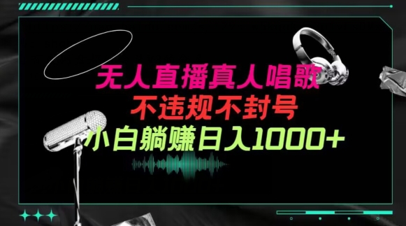 抖音24小时无人直播音乐，不违规，不封号纯撸音浪，小白实操当天日入1000+【揭秘】-吗喽副业资源站
