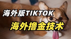 抖音海外版tiktok撸金技术，这个风口行业，赚钱真的不难【揭秘】-吗喽副业资源站