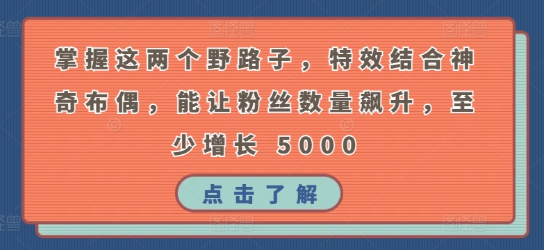 掌握这两个野路子，特效结合神奇布偶，能让粉丝数量飙升，至少增长 5000【揭秘】-吗喽副业资源站