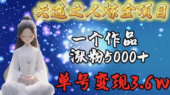天选之人炼金项目，一个作品涨粉5000+，单号变现3.6w【揭秘】-吗喽副业资源站