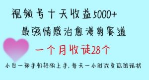 十天收益5000+，多平台捞金，视频号情感治愈漫剪，一个月收徒28个，小白一部手机轻松上手【揭秘】-吗喽副业资源站