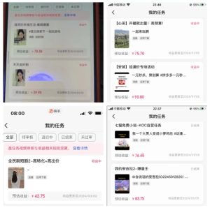 2024年3月最新，快手磁力聚星全流程实操教学，8台手机日均收益稳定100~200元【揭秘】-吗喽副业资源站