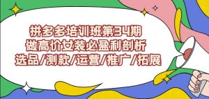 拼多多培训班第34期:做高价女装必盈利剖析选品/测款/运营/推广/拓展-吗喽副业资源站