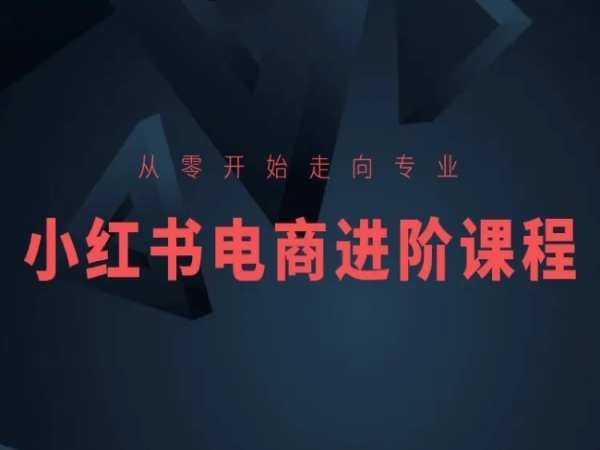 从零开始走向专业，小红书电商进阶课程-吗喽副业资源站