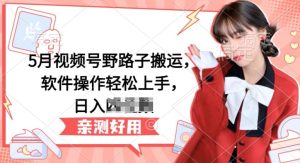 5月视频号野路子搬运，软件操作轻松上手，日入三位数【揭秘】-吗喽副业资源站